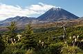 2007 04 19 Tongariro NP 079_DXO